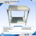 WCS-T002 304 SS 2-Tier Flat Table 60x120cm | Medical Grade