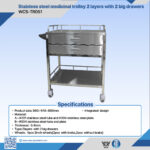 WCS-TR051 2-Layer Stainless Steel Medicinal Trolley
